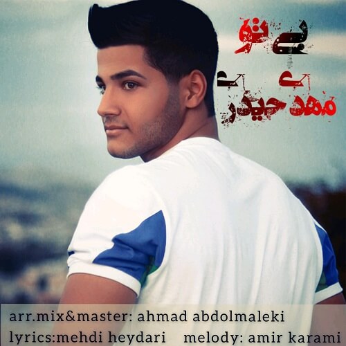 مهدی حیدری بی تو